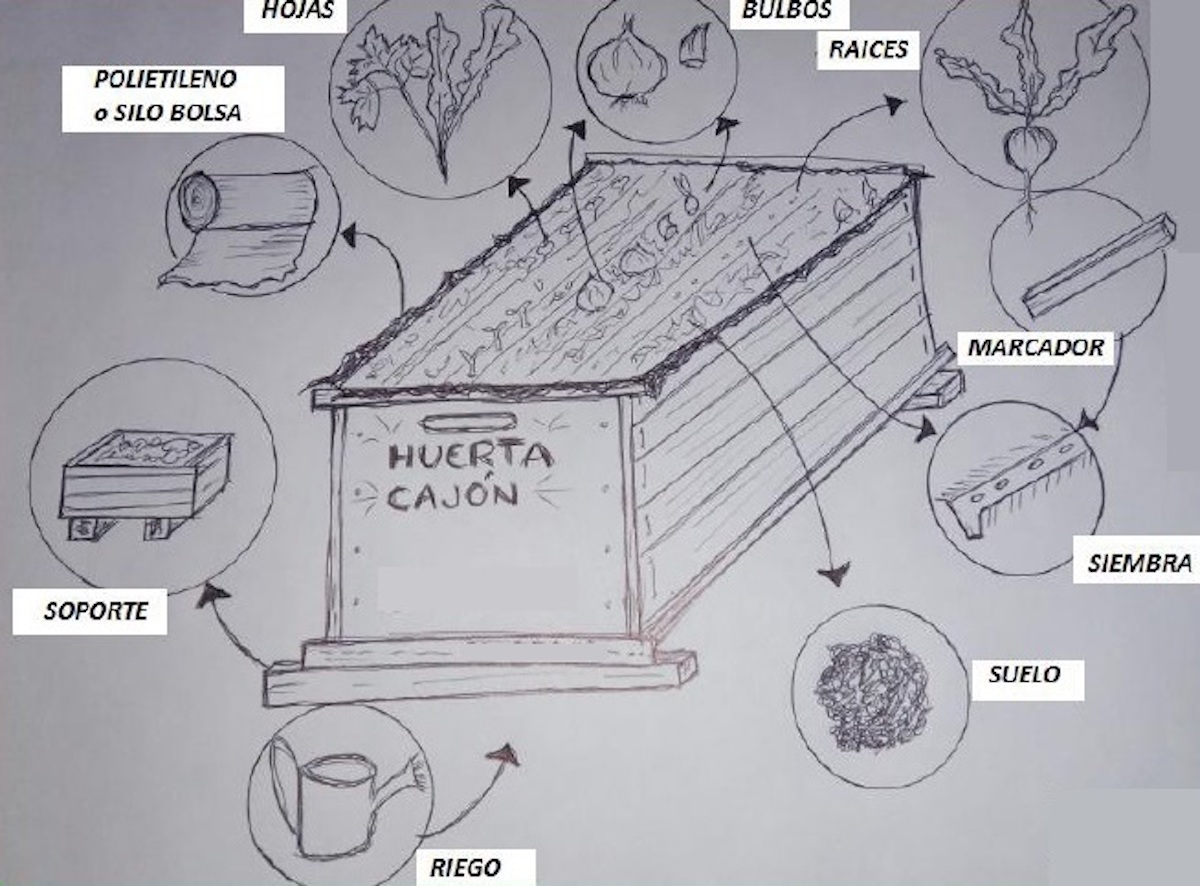«Huerta cajón», la recomendación del INTA para la producción hortícola en medio de la cuarentena