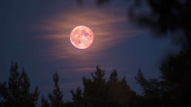 Luna Rosa 2022: Qué es, cuándo se verá y todo lo que necesitas saber