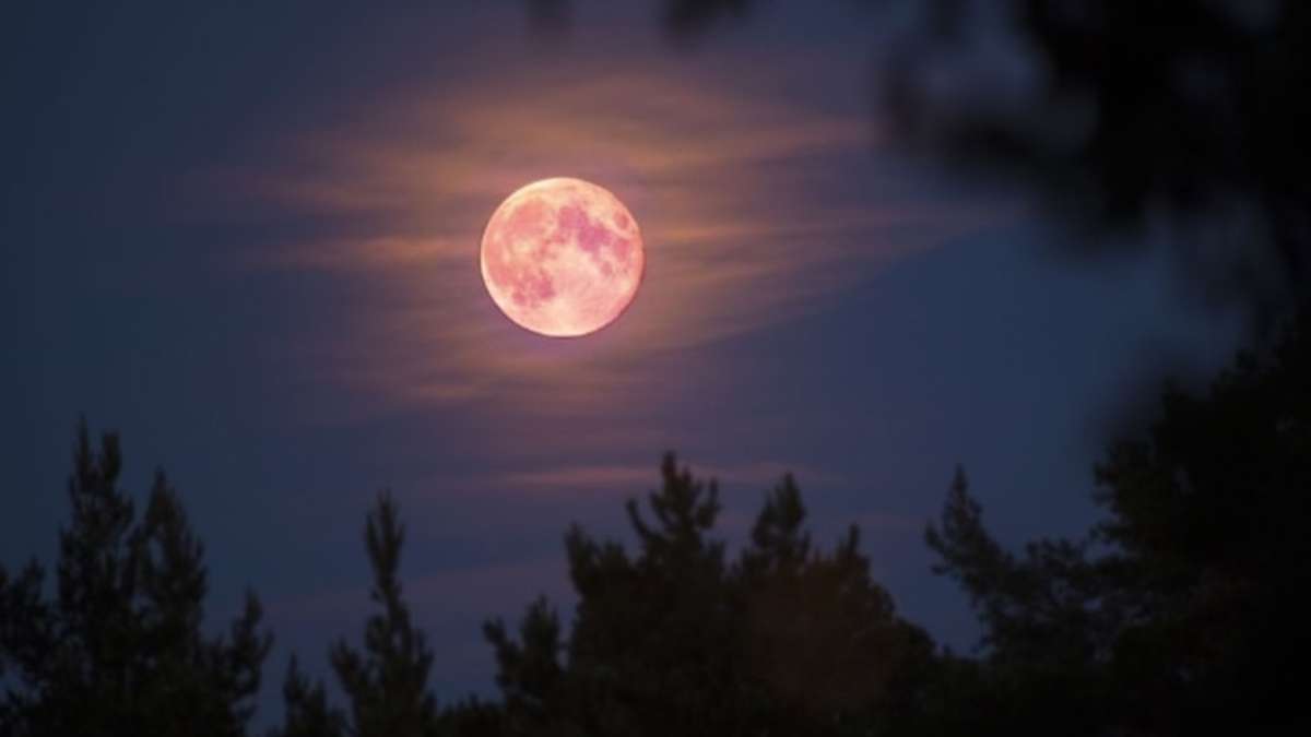 ¿Qué es la superluna rosa de abril? Cuándo y dónde verla