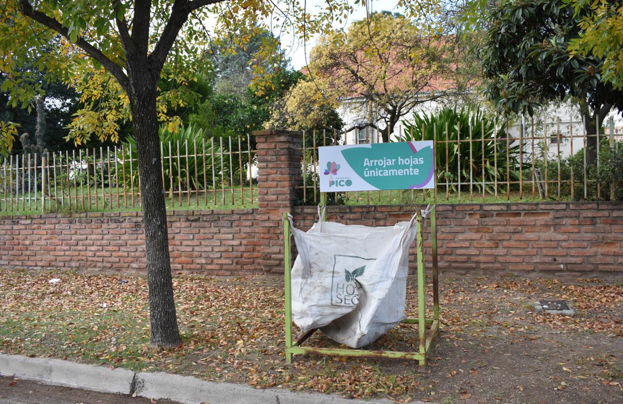 Colocaron bolsones para depositar hojas secas en distintos sectores de la ciudad