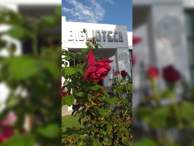 La Biblioteca de Intendente Alvear cumple hoy 88 años