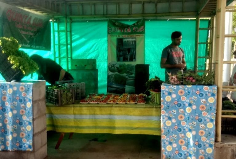 Hoy desde las 9 horas vuelve la tradicional Feria Hortícola del Paseo de la Vida
