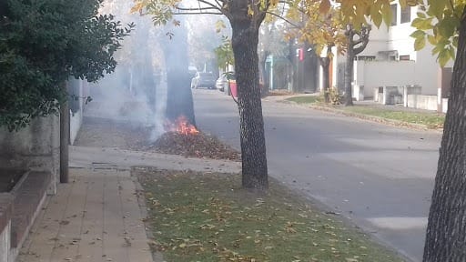 Quemar las hojas, una insana costumbre del otoño