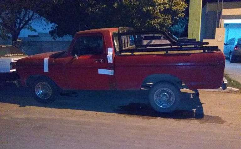 Operativo conjunto en Caleufú: Atrapan a furtivos que llevaban perros para cazar en época de veda