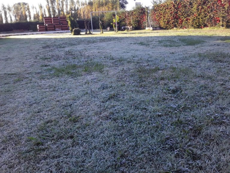 -1°C en General Pico: según el SMN, hoy es el día más frío de la semana