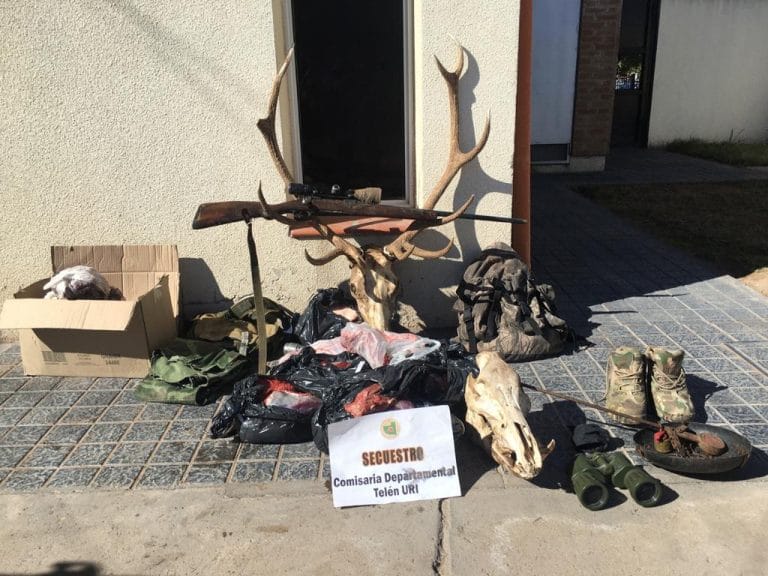 Telén: en dos allanamientos secuestran una importante cantidad de carne y elementos de caza