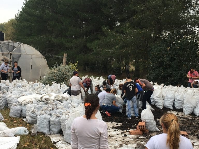 La fundación Cosecha Completa donó 15 toneladas de papas a granel para General Pico