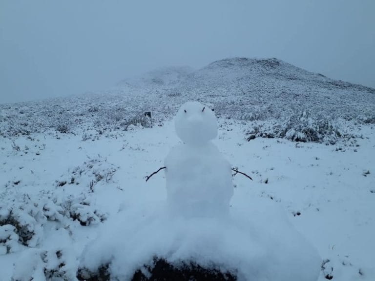 Alerta por nevadas: el Servicio Meteorológico Nacional emitió un aviso para el oeste de La Pampa