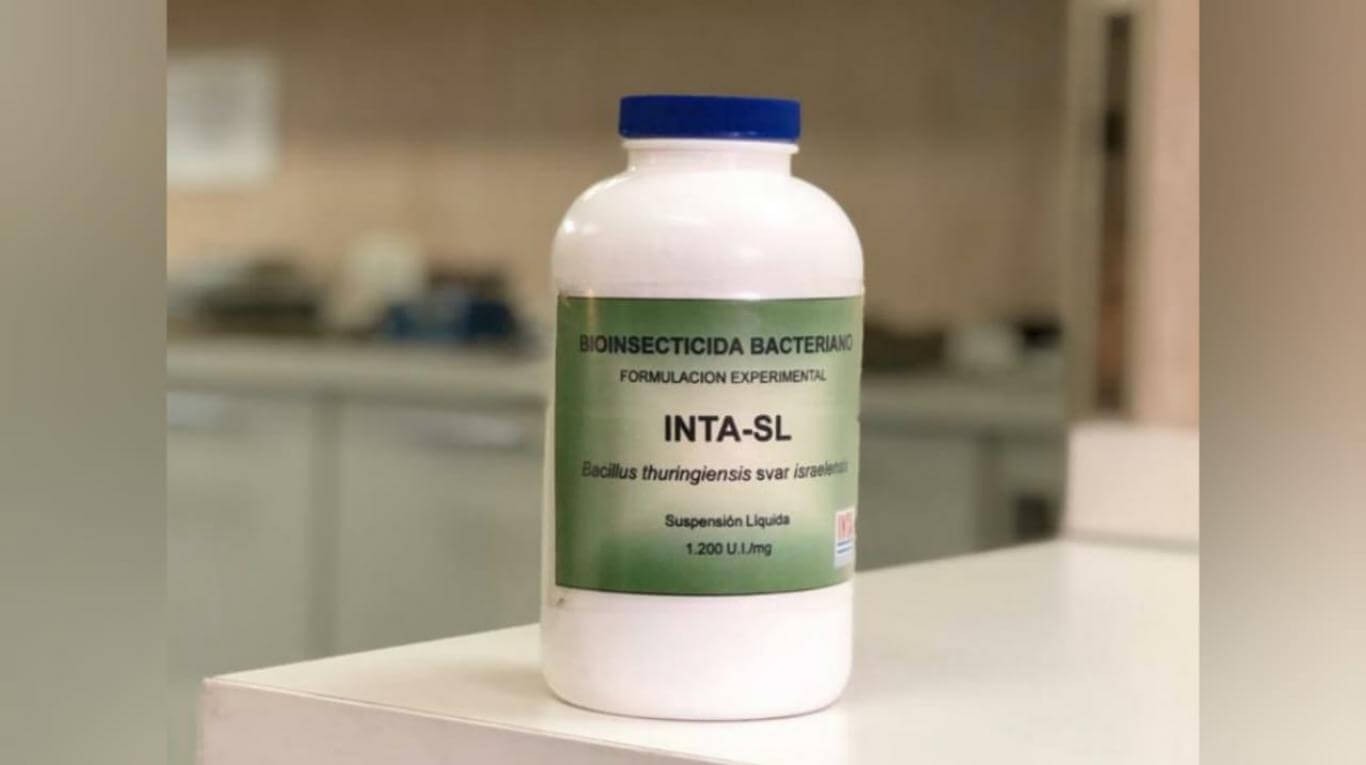 El INTA desarrolló un producto clave contra el dengue