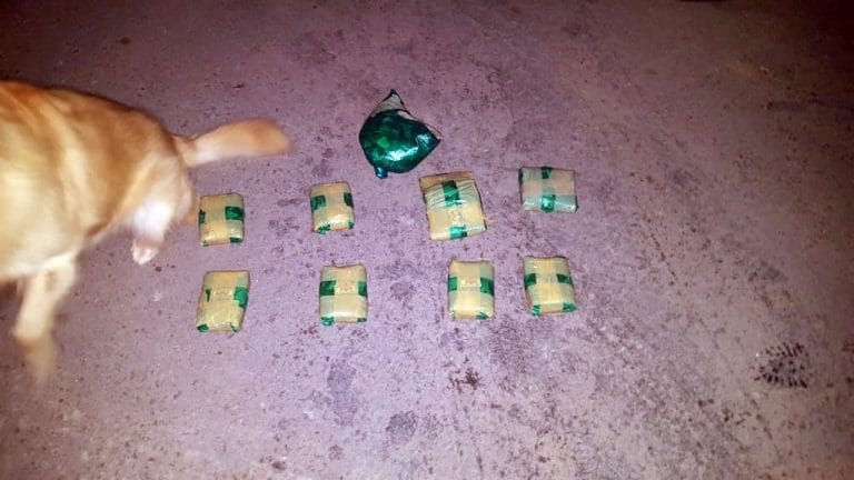 Detienen un auto con dos personas que llevaban 9 bultos con “hojas de coca”: Uno de ellos tenía pedido de captura