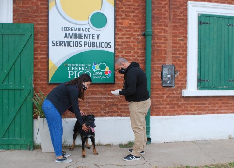 Exitosa puesta en marcha del servicio de Vacunación Antirrábica