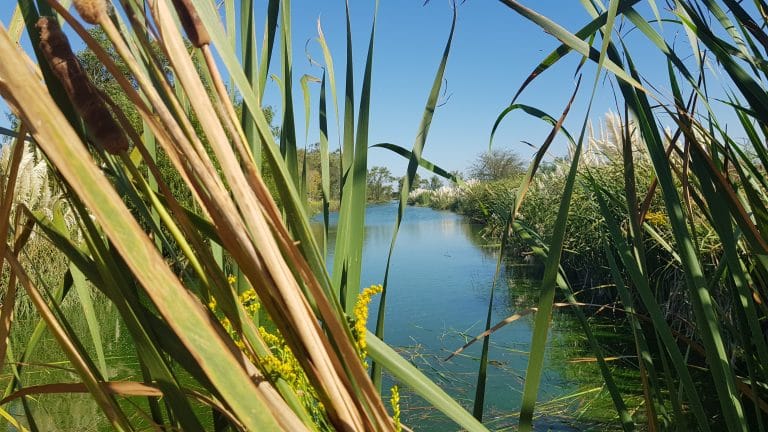 05 de Junio Día Mundial del Ambiente Proyecto Plan.T.A.R: purificar, reutilizar, regenerar