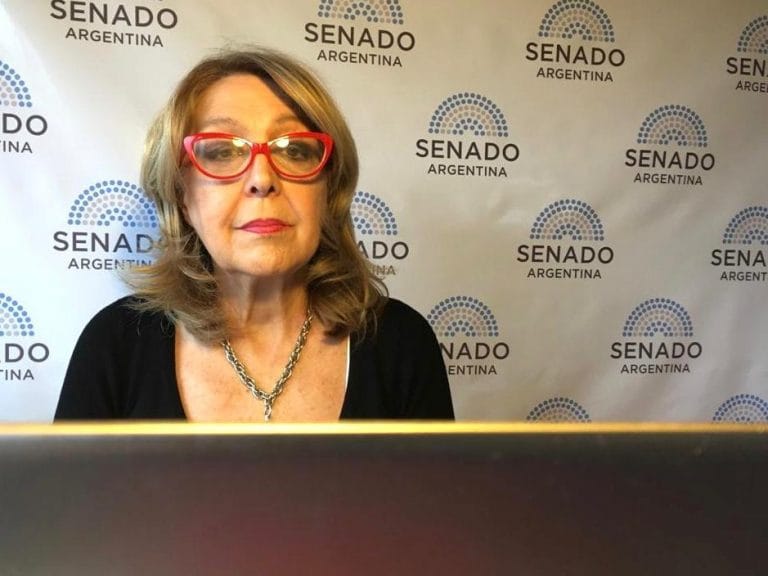 El Senado aprobó la Ley de Educación a Distancia para menores de 18 años