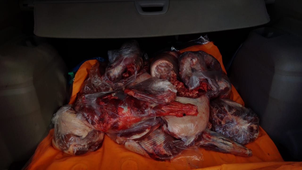 Policía de Eduardo Castex demoró a cazadores ilegales y secuestró casi 100 kilos de carne