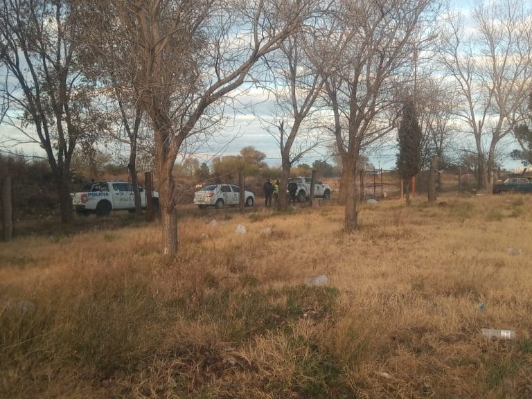Policía de Castex actuó en varios hechos: Además se labraron once infracciones a transportistas en el puesto caminero de la localidad