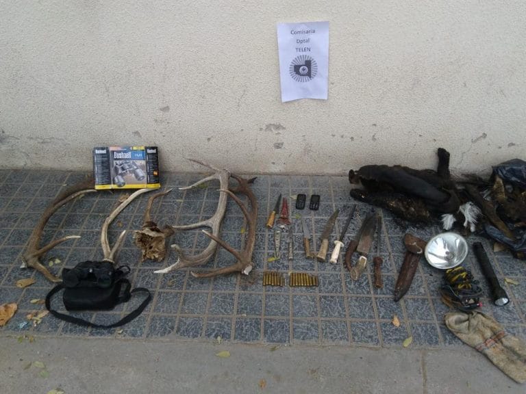 Detienen a tres personas por caza ilegal en Telén y secuestran varios elementos utilizados para la actividad