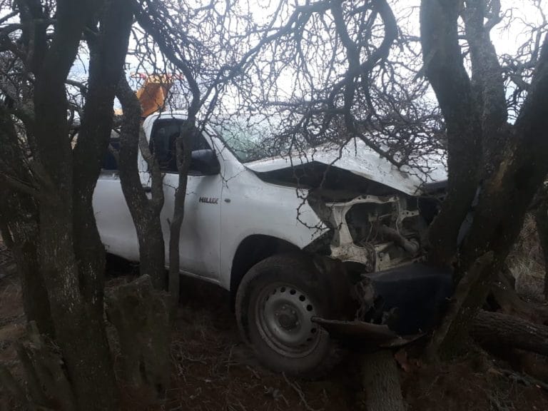 Pasaron de largo en un cruce de ruta y terminaron dentro de un campo chocando contra unos árboles