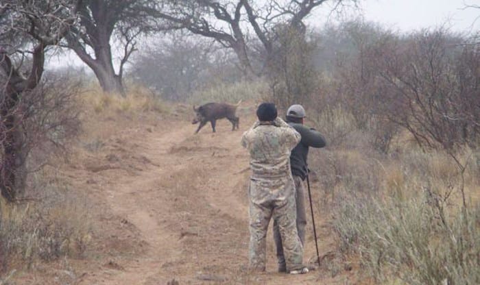Comienza la Temporada de Caza y Pesca Deportiva en La Pampa: detalles de como y donde obtener el permiso
