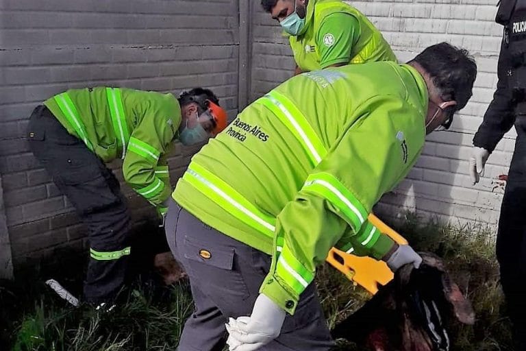 Entró a una casa a robar y lo mataron dos pitbulls: La Policía tuvo que sacrificar a uno de los perros para que suelte al ladrón