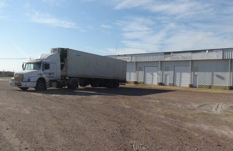 Frigorífico pampeano exportó 20 mil kilos de carne caprina a Bahamas