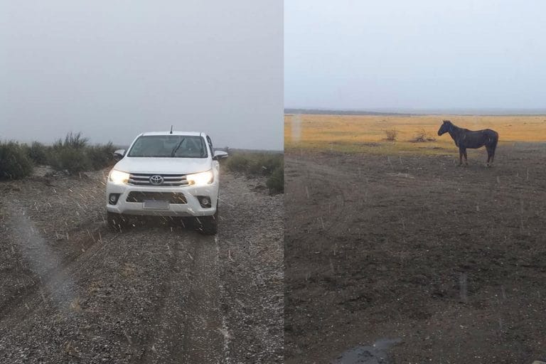 Nevó en el oeste pampeano: el paraje rural de Chos Malal amaneció blanco