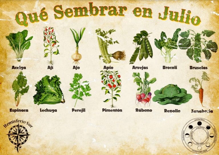 Para los amantes del jardín: La huerta del mes de Julio