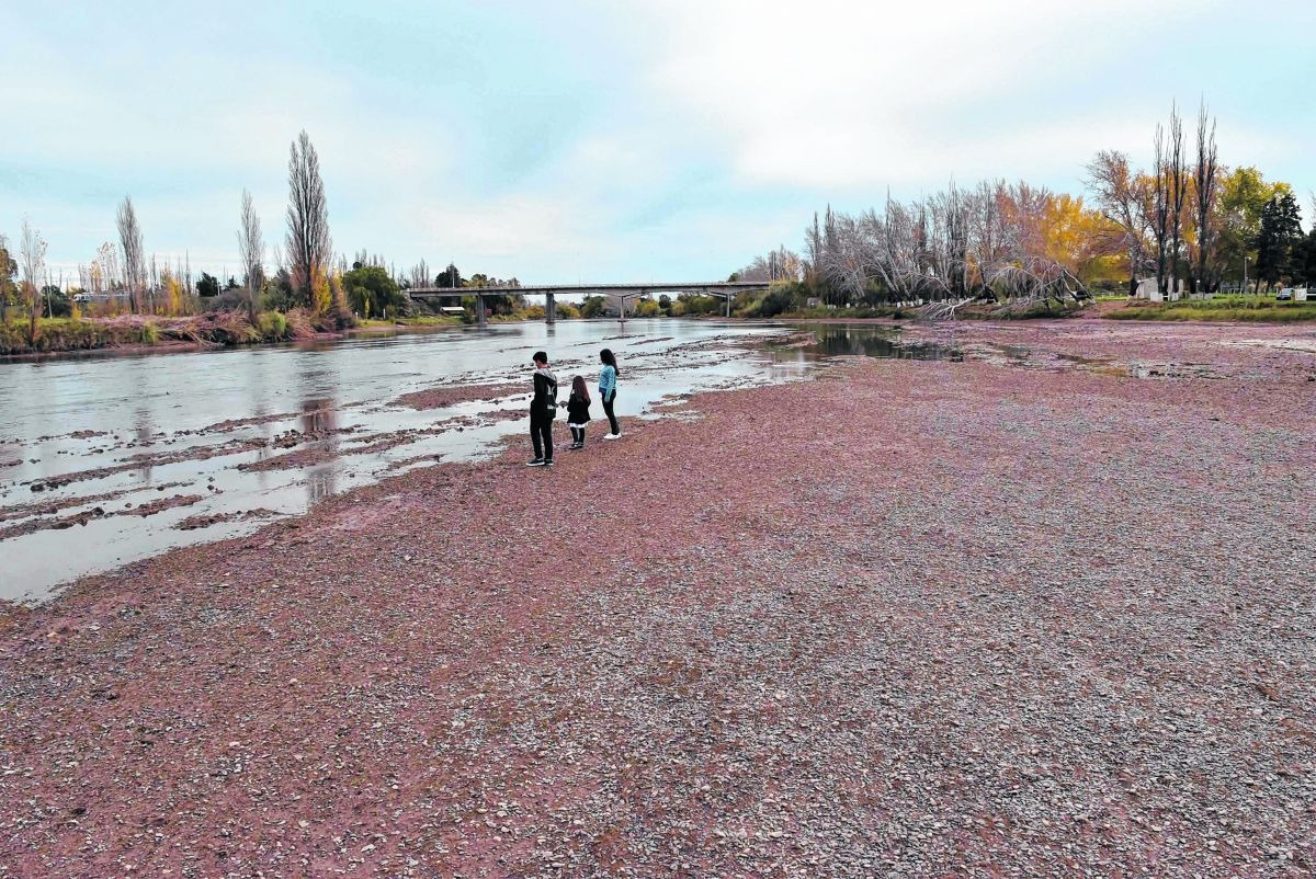 El Río Colorado atraviesa el periodo seco más extenso de su historia: “Se combinaron escasas nevadas y altas temperaturas”