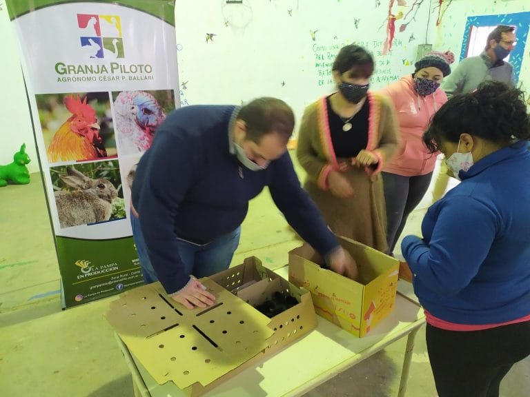 Continúan con la entrega de gallinas ponedoras a familias vulnerables de La Pampa