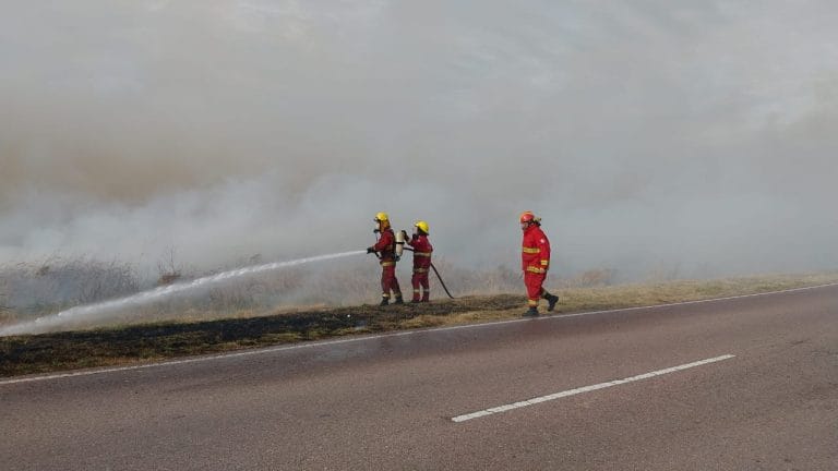 Importantes incendios de pastizales simultáneos: Bomberos trabajó en la Ruta 1 pasando Dorila y cerca a la planta de acopio de Cargill