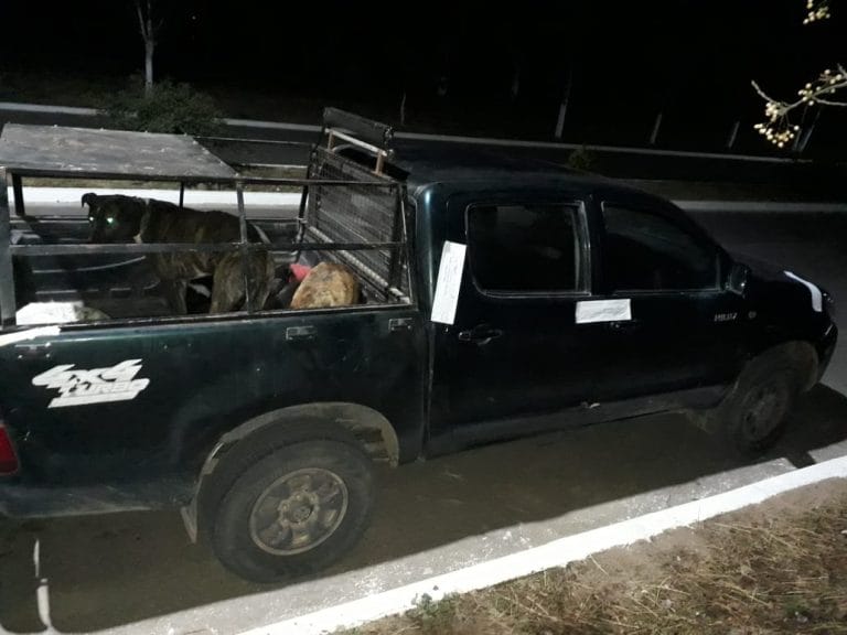Eduardo Castex: demoran a 4 hombres que realizaban labores de caza con perros en la vía pública
