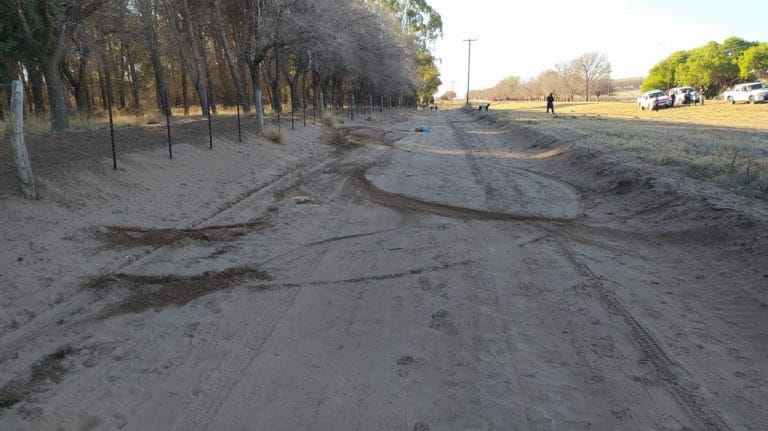 La Pampa: atropelló un perro, pero como quedó vivo, lo volvió a pasar por encima y lo mató