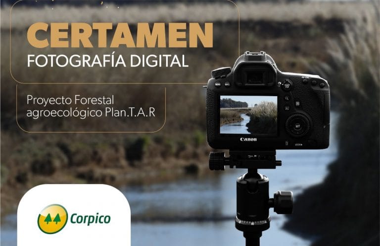 Corpico extendió la inscripción del certamen de fotografía digital