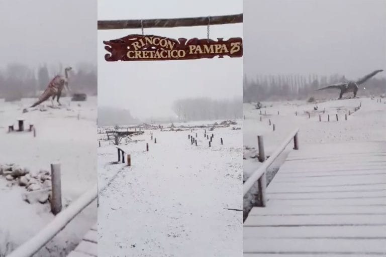 Llega la nieve a 25 de Mayo y brinda un hermoso espectáculo que te lo mostramos en 9 fotos