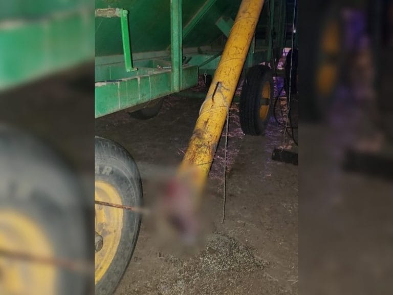 Grave accidente en un campo cercano a Realicó: un chimango le atrapó la mano a un operario y le habría amputado algunos dedos