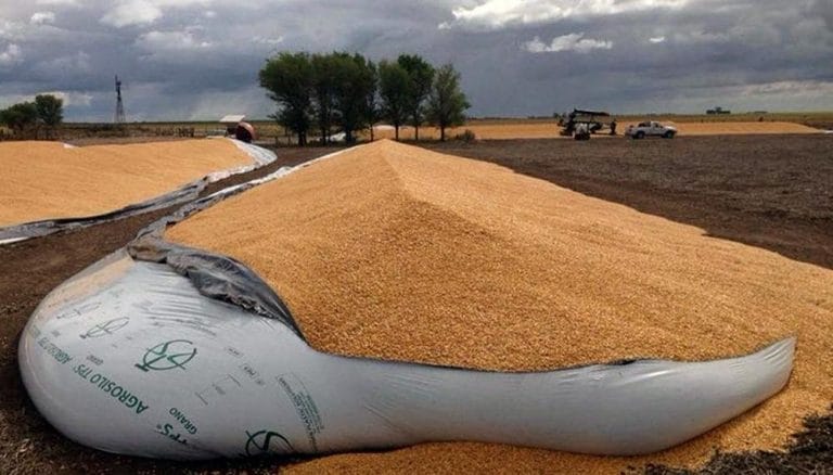 Diputados pampeanos repudiaron las roturas de silo bolsas, abigeatos y otros delitos en campos pampeanos