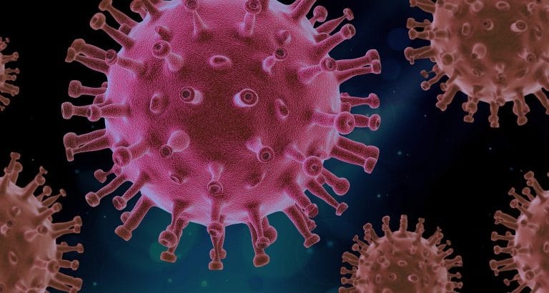 Investigación preliminar sugiere que el CBD podría combatir el COVID-19