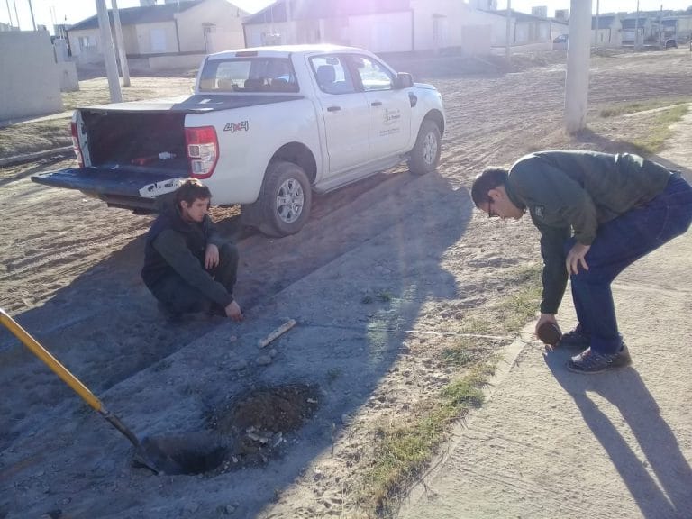 Planifican y plantan 400 árboles para el Barrio Federal de General Pico
