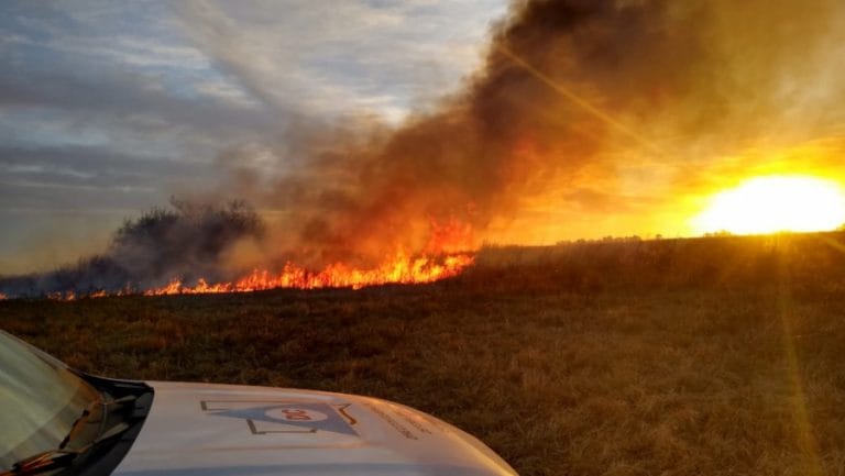 Defensa Civil realiza trabajos de prevención de incendios por la sequía en La Pampa