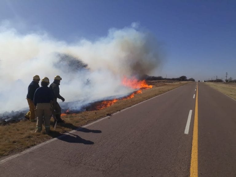 Bomberos trabajaron sobre un incendio de pastizales en Ruta 10: Infraccionaron a quien inició el fuego ya que la quema no estaba autorizada