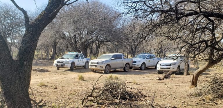 Allanamiento por “retención indebida”: Policía de Castex trabajó para recuperar 600 vacunos en zona rural de Rucanelo