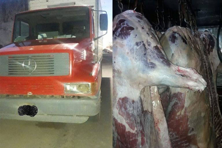 Alpachiri: interceptan a un camión que transportaba 18 medias reses sin las medidas sanitarias correspondientes