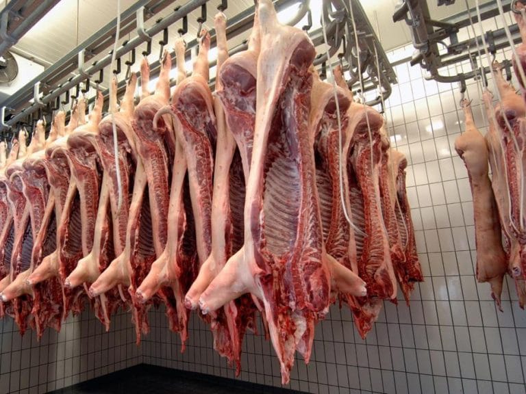 Prorrogan la inscripción a establecimientos que exporten carne de la cuota Hilton a la Unión Europea