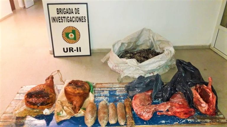 Recuperan una gran cantidad de embutidos que habían sido robados en un predio de Speluzzi
