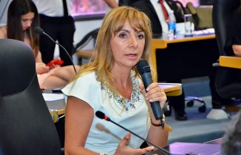 La diputada Fonseca solicitó la construcción del Instituto de Formación Docente