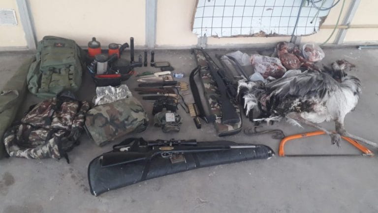 Allanaron un campo en Quehué y detuvieron a dos cazadores furtivos