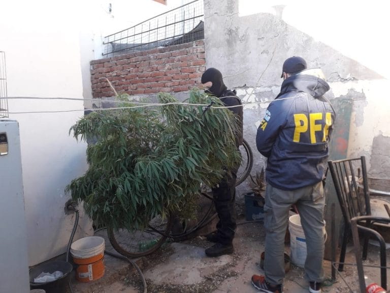 La Policía Federal allanó una vivienda en Santa Rosa: Detuvieron a dos personas, secuestraron marihuana, dinero, un arma de fuego y una motocicleta