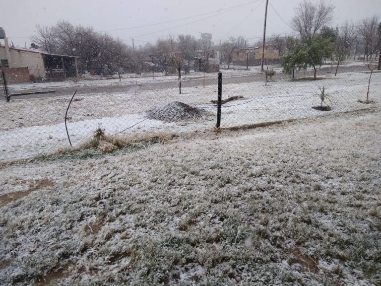 Hace un año Puelén registraba una intensa e inusual nevada