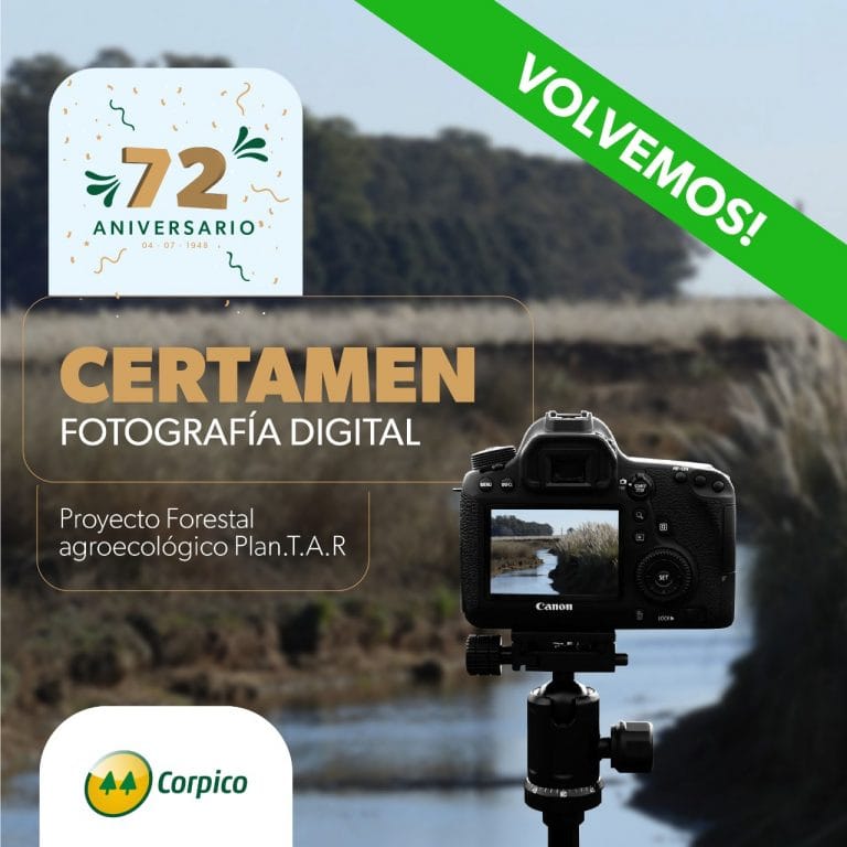 Corpico retomó el certamen de fotografía digital