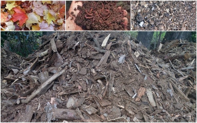 Para los amantes de las plantas: Cómo preparar el sustrato y fertilizantes para nuestro Jardín