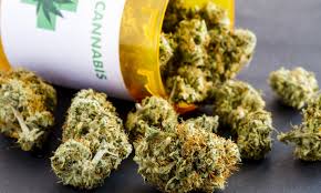 Concejales oficialistas proponen regular el cannabis medicinal en General Pico
